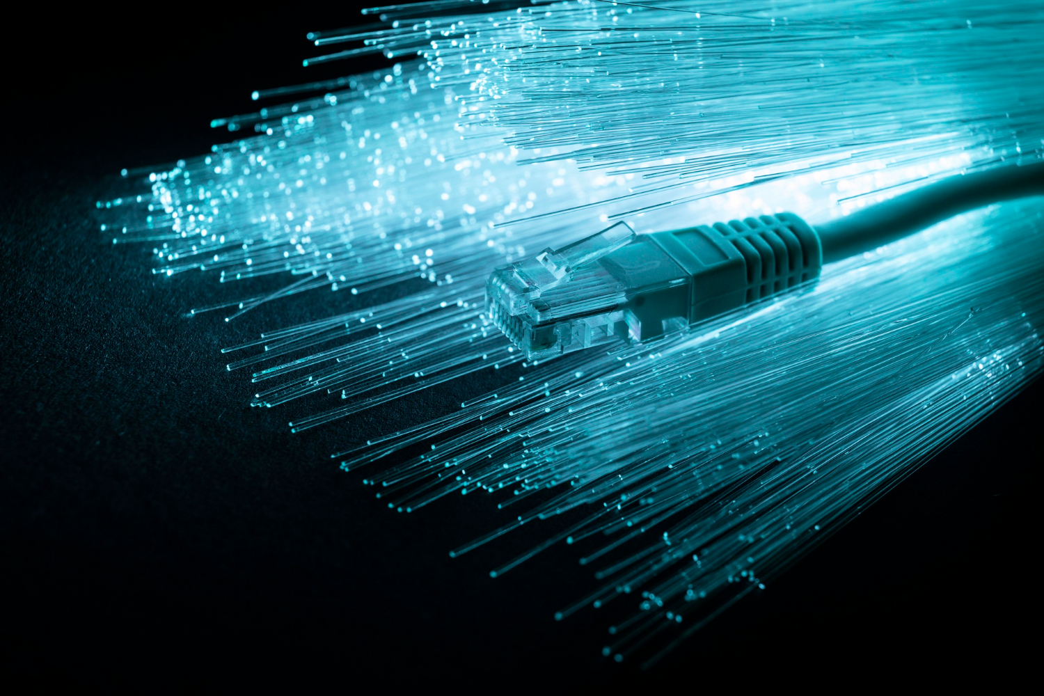 optic LAN wire with blue lighting